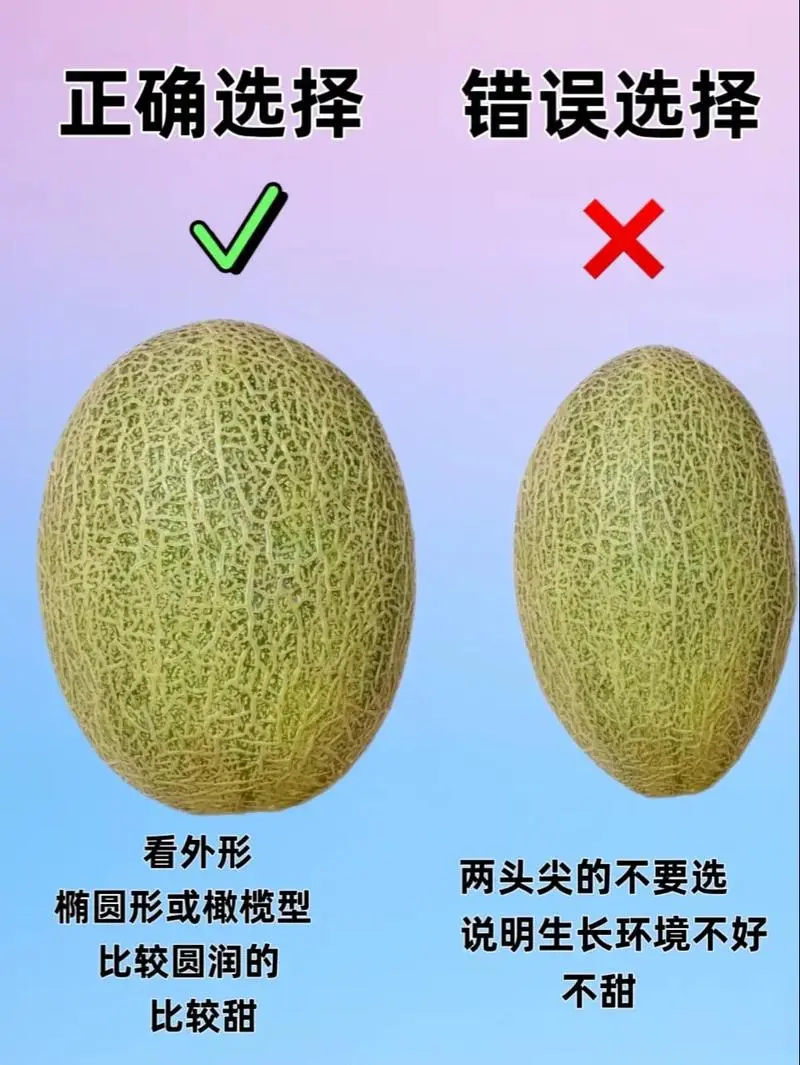 蜜瓜挑选秘籍,一眼识甜不靠运气!