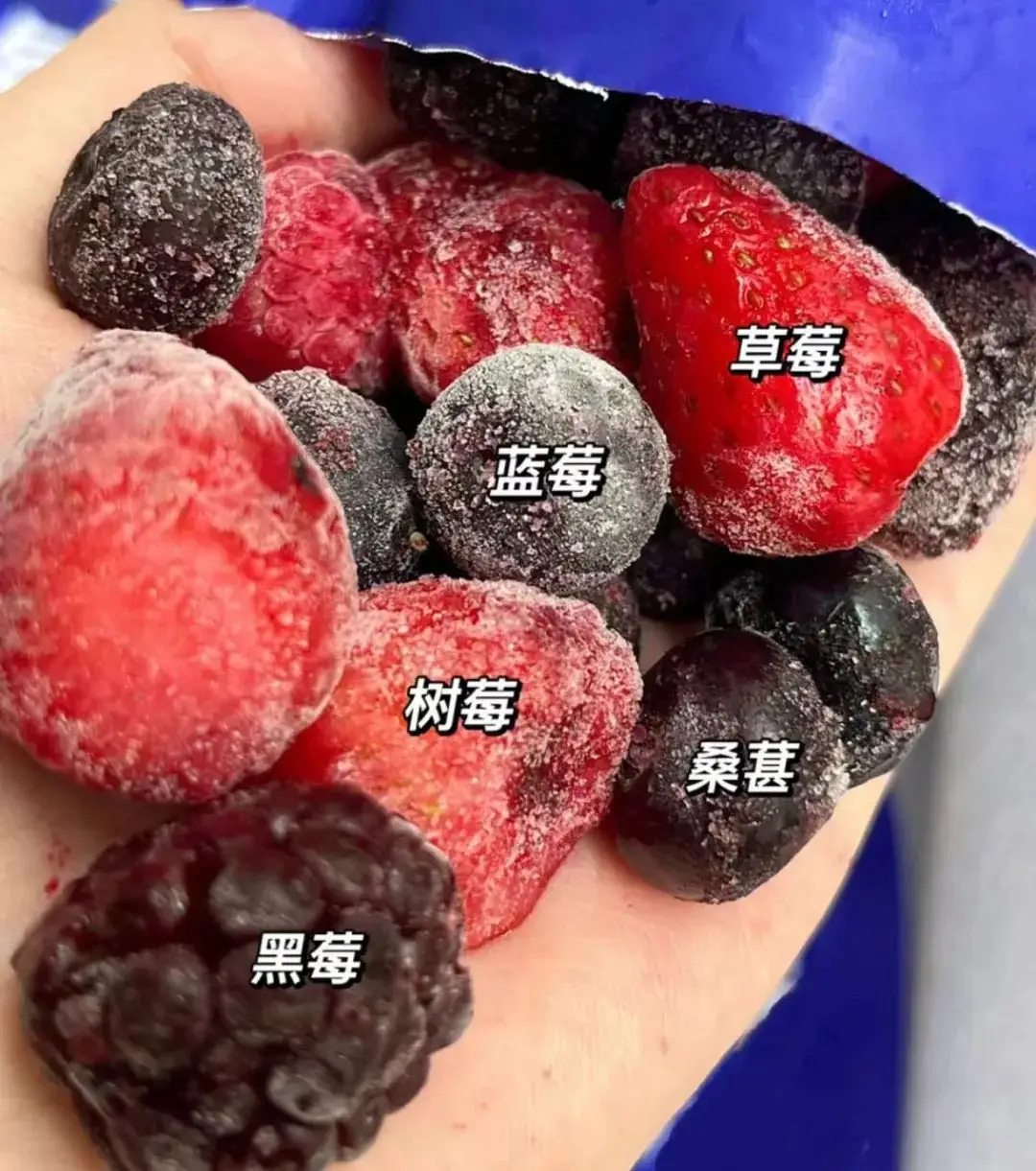 山莓VS黑莓区别,谁是你的营养健康首选?