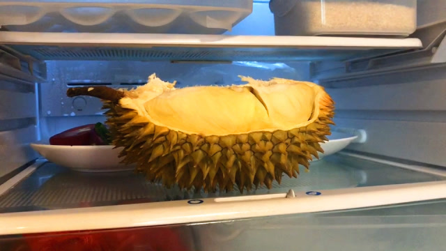 热带果王如何保鲜?榴莲冷藏存放时间实践