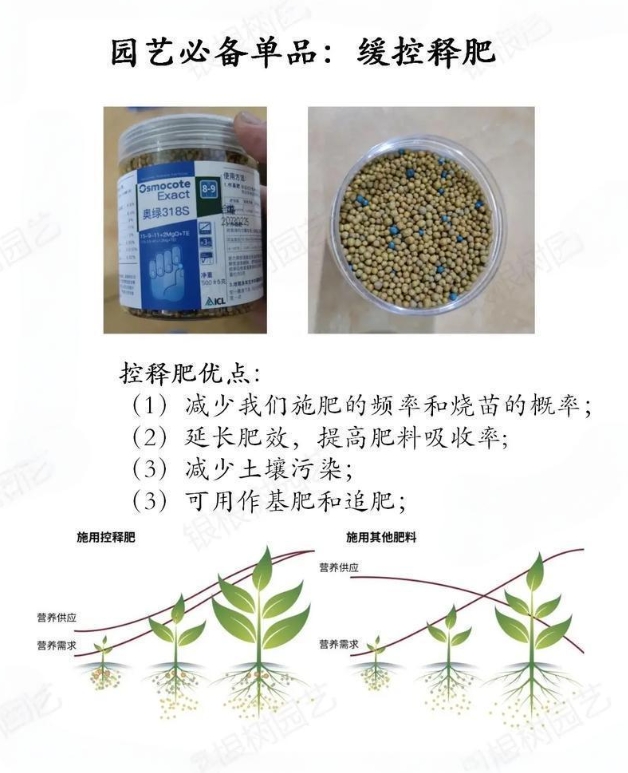 缓控释肥:为作物量身定制的“营养餐”