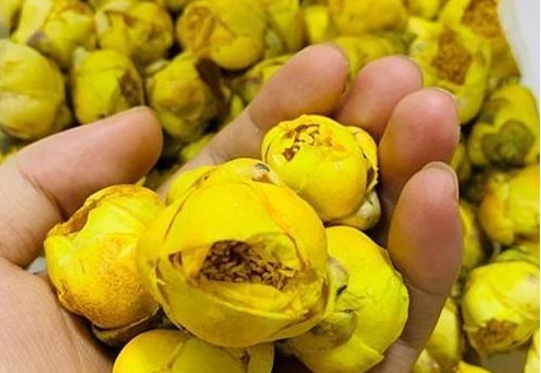 <b>品味自然之香：金花茶的花是怎么制作成茶叶的？</b>