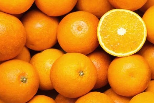 <b>橙子与桔子的分类依据与区别特征。</b>