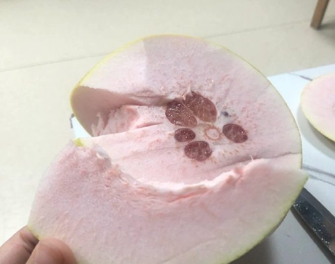 <b>柚子皮为什么那么厚？自然选择与生存智慧的结晶</b>