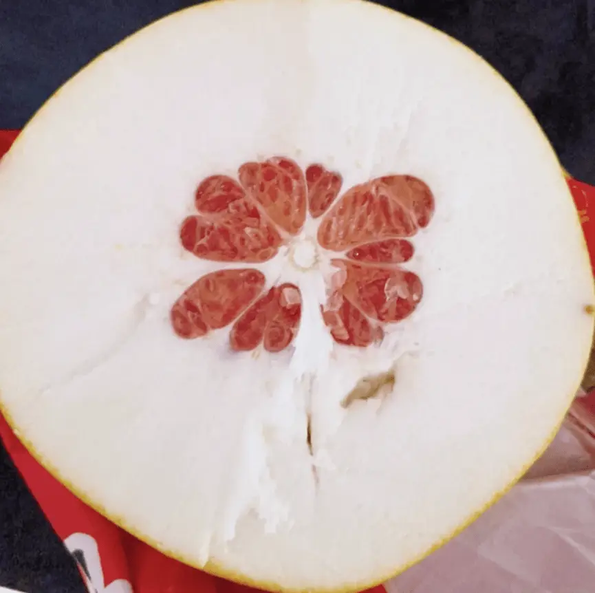柚子皮为什么那么厚?自然选择与生存智慧的结晶