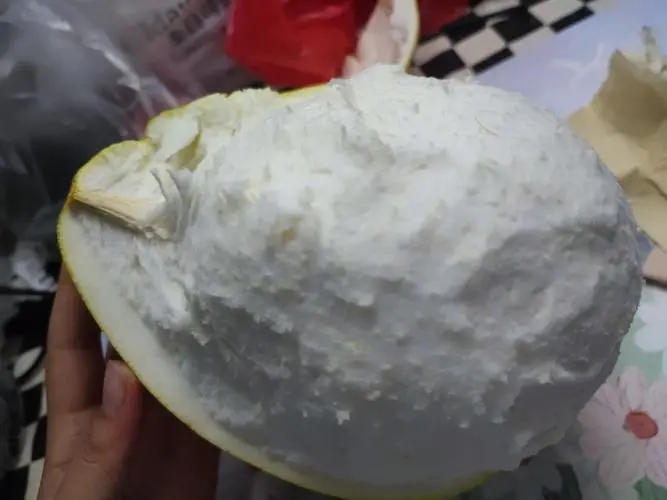 柚子皮为什么那么厚?自然选择与生存智慧的结晶