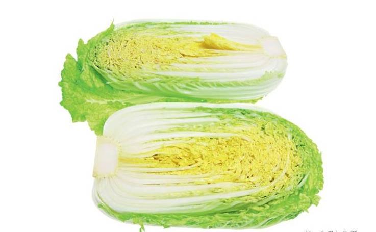 <b>白菜心长什么样？从内到外领略白菜心的独特魅力</b>