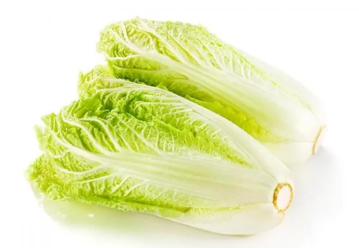 白菜心长什么样?从内到外领略白菜心的独特魅力