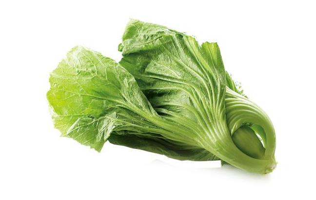 <b>芥菜长什么样子？芥菜绝美图片集大赏</b>