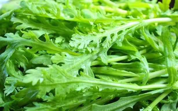 <b>大棚茼蒿夏季高产栽培技术分享，实现茼蒿丰收梦</b>