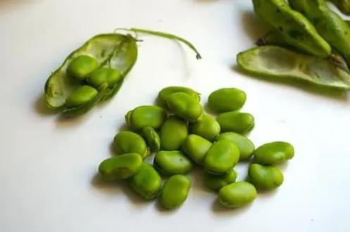 <b>什么人不能吃蚕豆？这些人群需谨慎食用！</b>