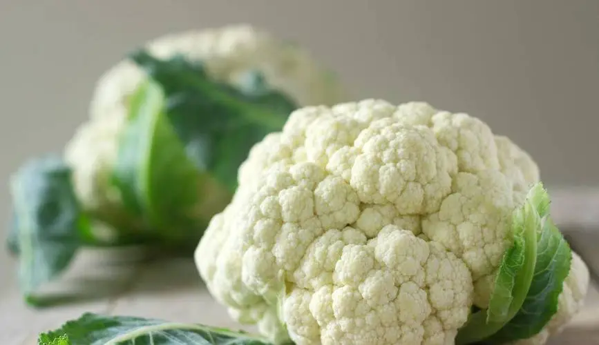 菜花菜有哪些营养价值?维生素C、膳食纤维全都有