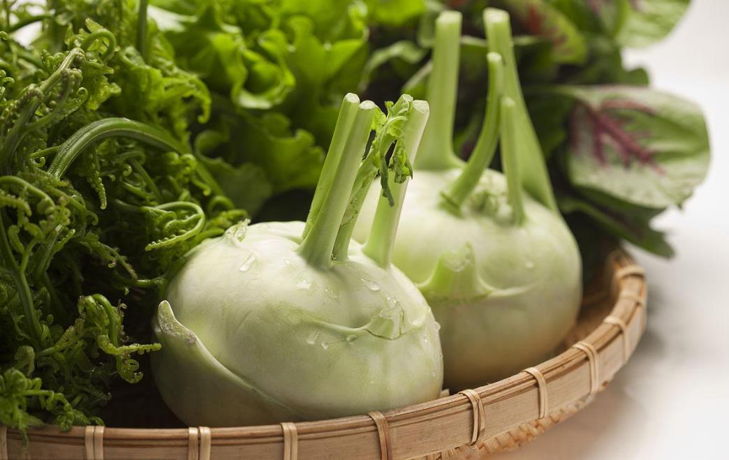 美食侦探上线!芜菁和苤蓝是一种菜吗?