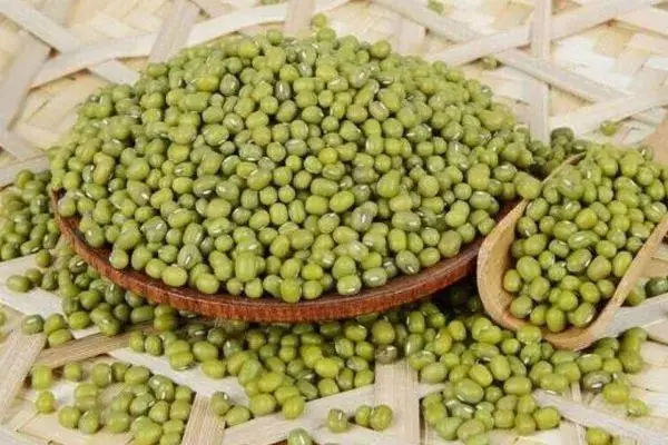 绿豆与健康-绿豆有解药的作用是真的吗？