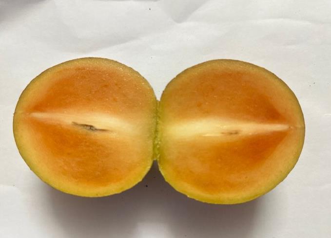 味蕾盛宴:解锁人心果的多种吃法与催熟秘诀
