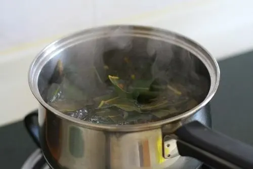 自然养生疗法:枇杷叶怎么煮水止咳效果好