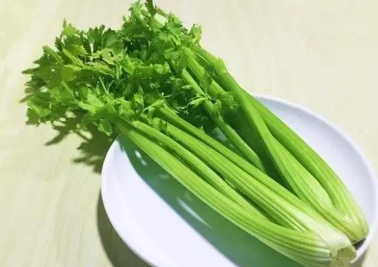 <b>芹菜也有“身材”之分？粗芹菜和细芹菜有什么区别</b>