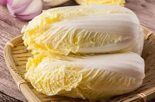 <b>娃娃菜虫害有哪些，从蚜虫到斑点潜蝇一网打尽</b>