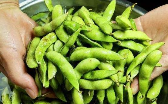 <b>科学施肥-毛豆种植需要什么肥料助力高产</b>