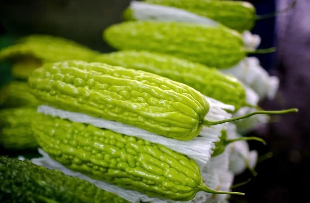 蔬菜食疗新法-苦瓜能降血糖吗?