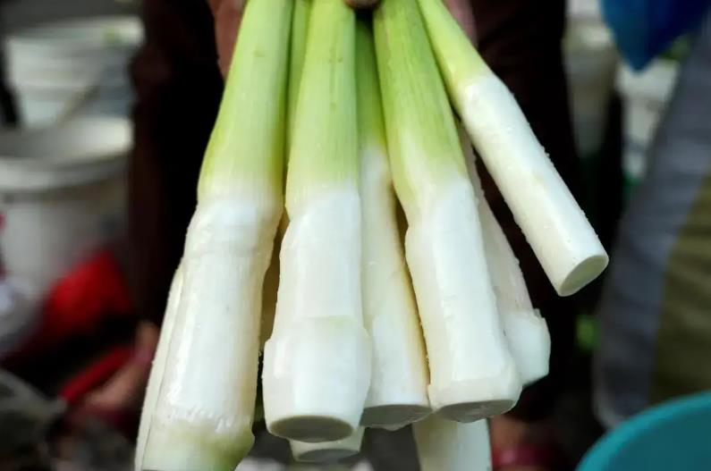 蔬菜界的“撞脸”事件-和芦笋很像的蔬菜有哪些?