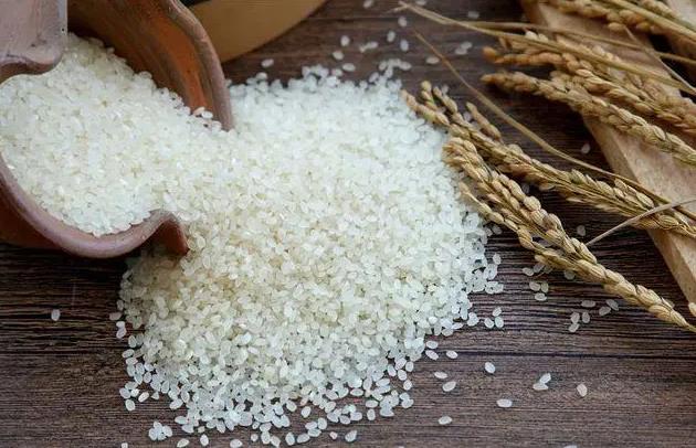 <b>大米的另一种形态-水稻可以磨成粉食用吗</b>