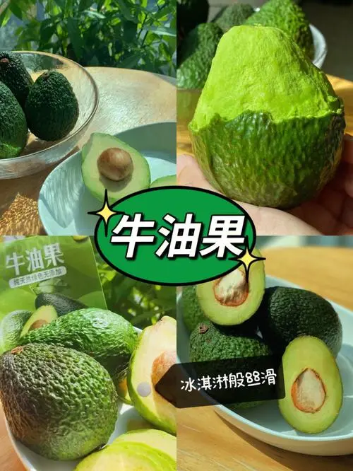 牛油果除了吃还能干什么,多样性用途与环保价值探索