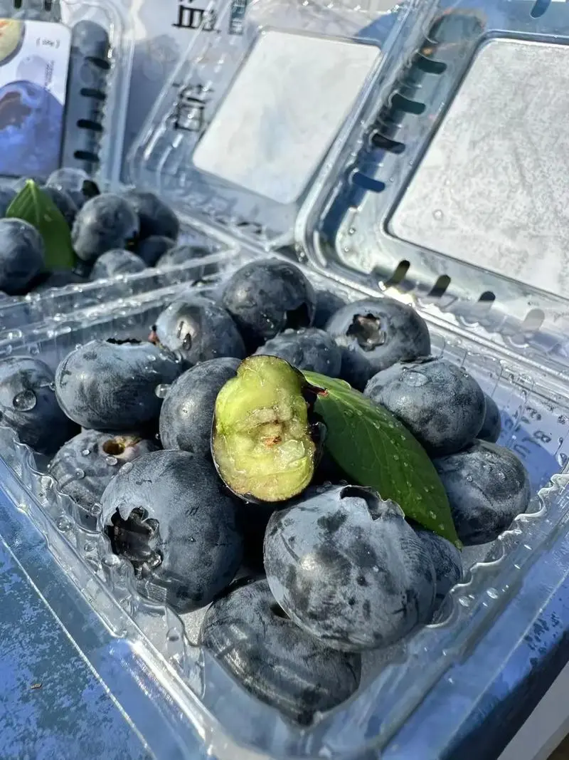 蓝莓为什么卖这么贵?种植成本、营养价值与市场需求分析
