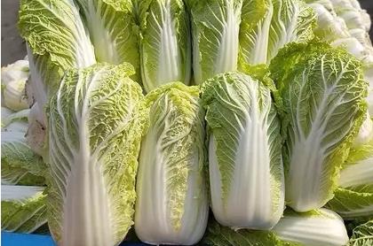 <b>娃娃菜2024年9月20日最新价格信息及行情走势</b>