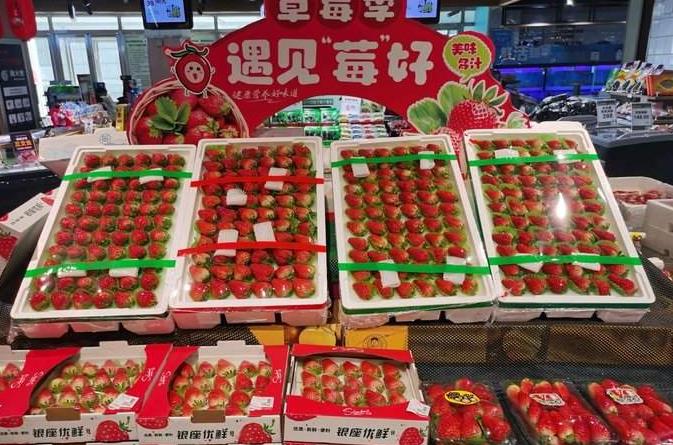 <b>草莓徐州批发2024年9月27日最新价格信息及行情走势</b>