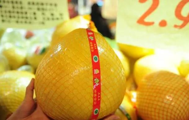 <b>河北省柚子批发2024年9月27日最新价格信息及行情走势</b>