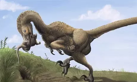 哺乳动物明明是统治地球的高等生物,为什么牙齿这么垃圾?