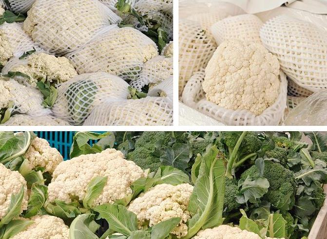蔬菜菜花辽宁省批发2024年9月30日最新价格信息及行情走势
