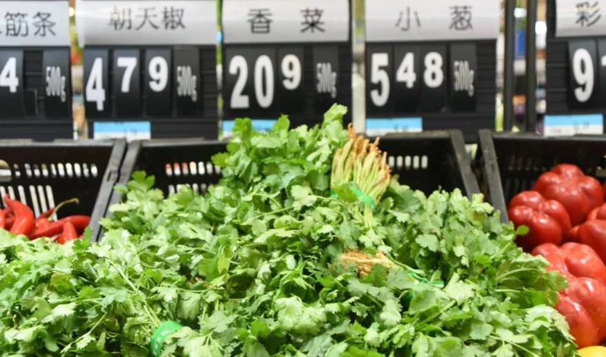 <b>浙江、苏州香菜批发2024年10月3日最新价格信息及行情走势</b>