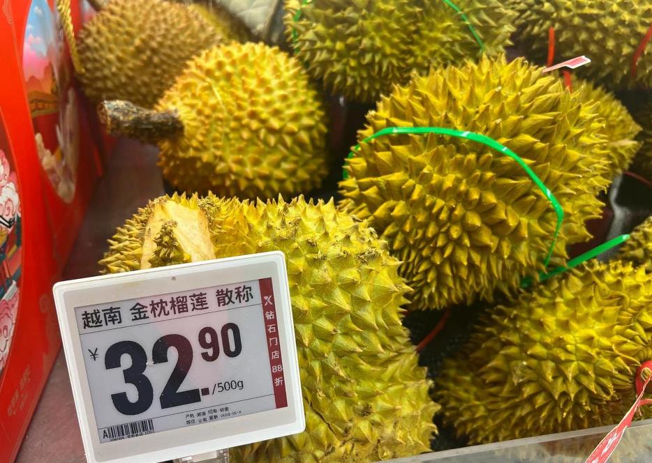 <b>越南进口金枕榴莲批发2024年10月11日最新价格信息及行情走势</b>