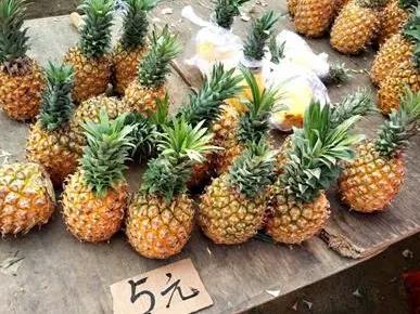 <b>北京地区新鲜菠萝2024年10月15日最新价格信息及行情走势</b>