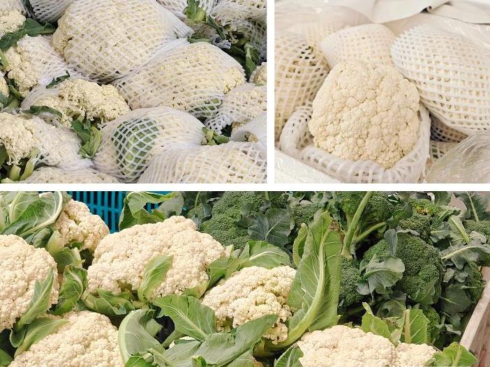 精品新鲜菜花山西省批发2024年10月16日最新价格信息及行情走势