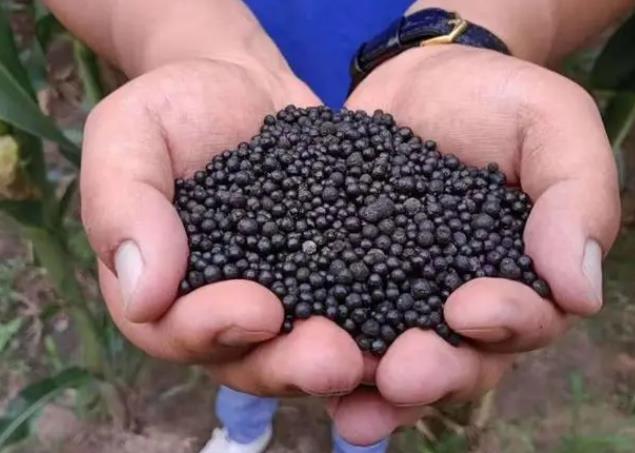 <b>生态肥和生物肥是什么，有什么特点和区别？</b>