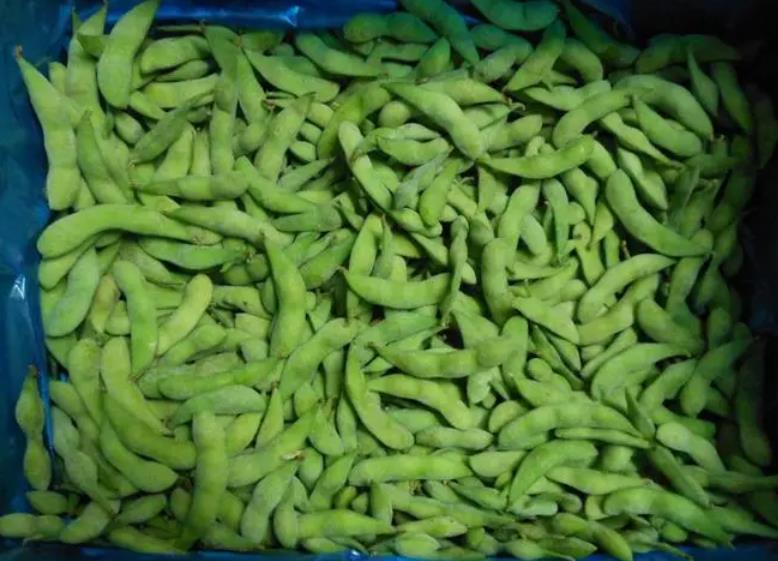 <b>当季矮生毛豆批发2024年10月25日最新价格信息及行情走势</b>