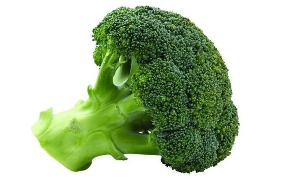 西蓝花富含多样营养,婴儿适量食用益处多