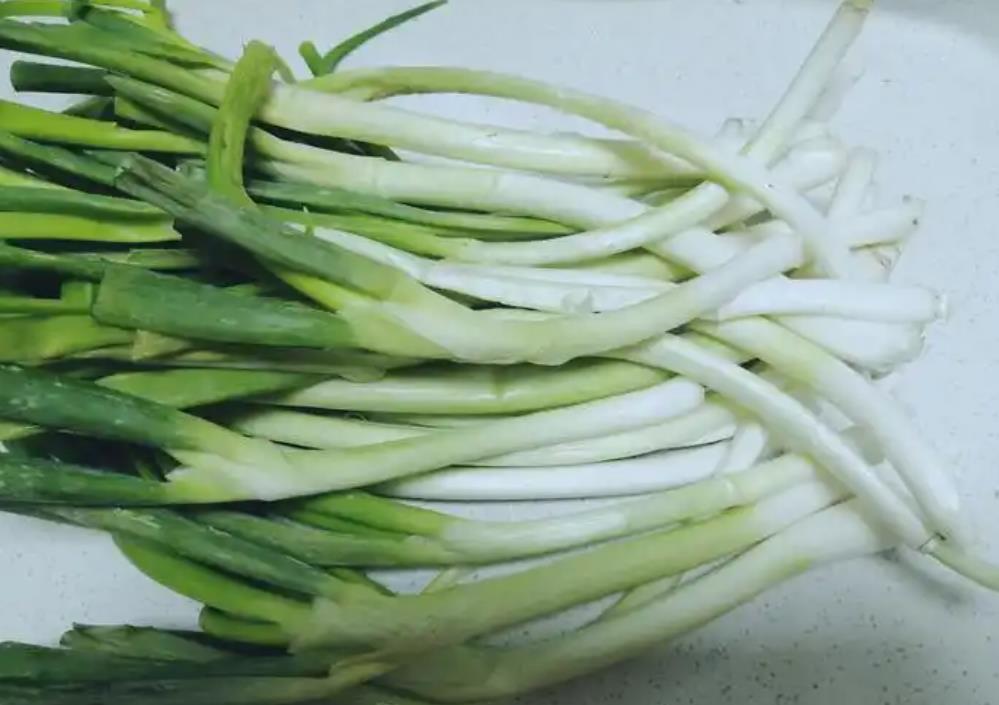 了解葱白与葱叶之间的差异，让你的菜肴更美味
