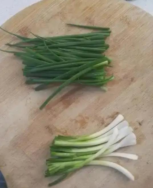 了解葱白与葱叶之间的差异,让你的菜肴更美味