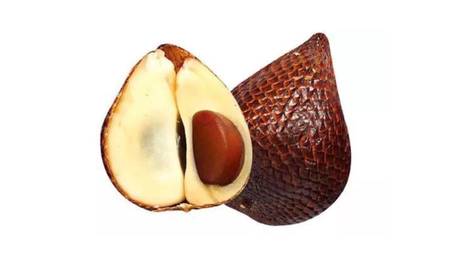 蛇皮果的种子怎样才能发芽？