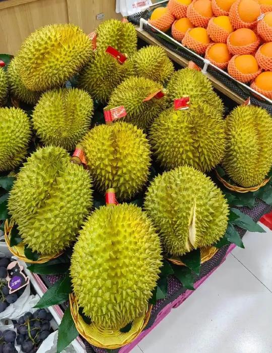 榴莲适合小朋友吃吗?解析它的营养与注意事项