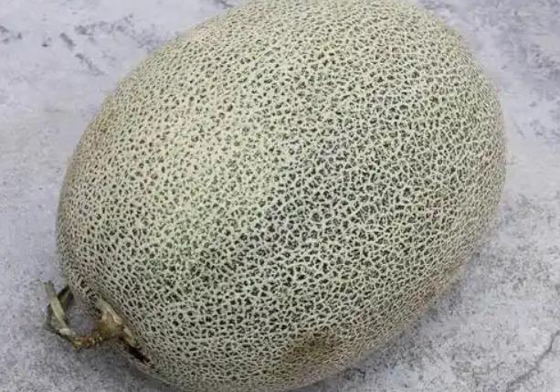 <b>哈密瓜能存放多久不坏？</b>