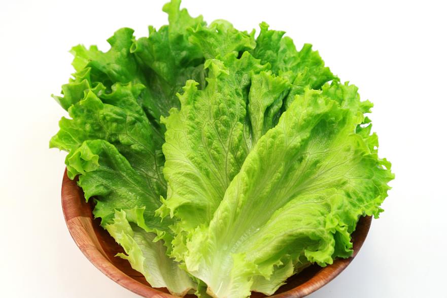 <b>生菜种植周期详解与缩短生长周期的小技巧</b>