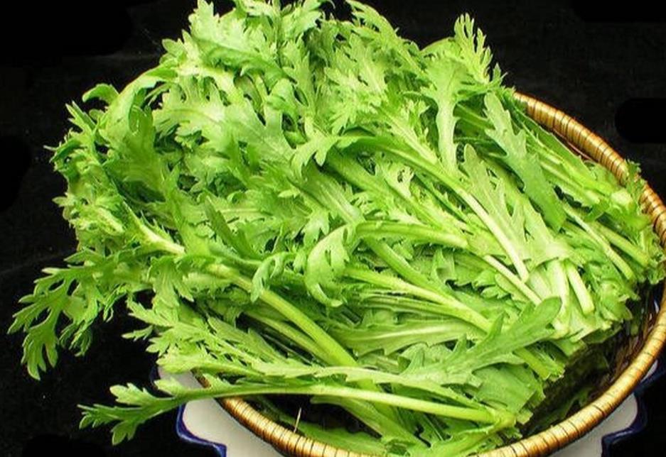 告别老硬口感!如何挑选优质茼蒿?