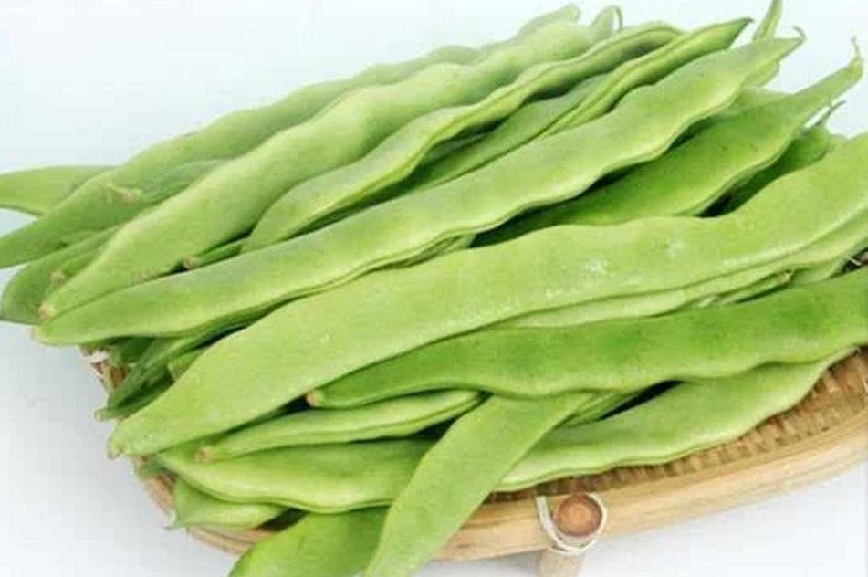 芸豆有哪些营养物质和功效?