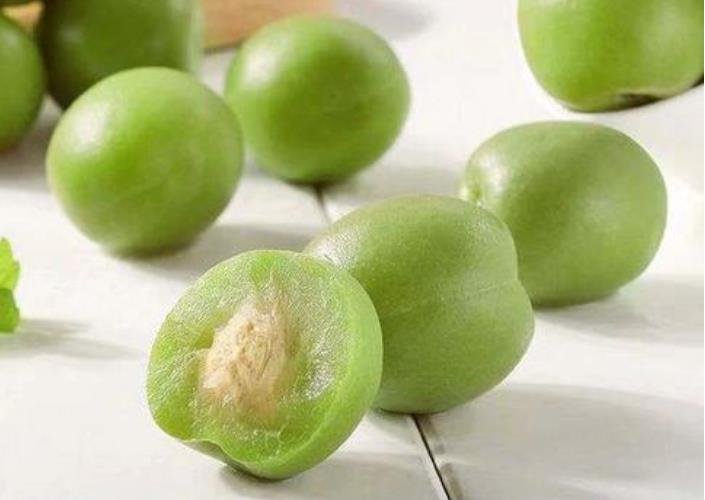 <b>梅子树苗品种大全：青梅红梅各有千秋</b>