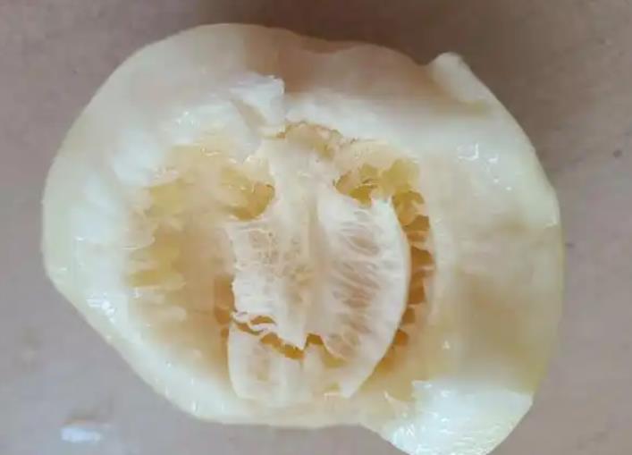 <b>香瓜和甜瓜是一种瓜吗？</b>
