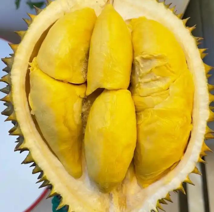 超市的榴莲怎么保存那么长时间不会坏?